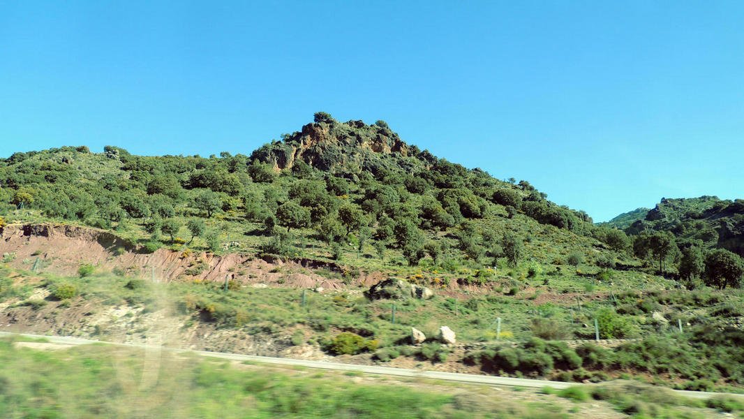 countryside110.jpg