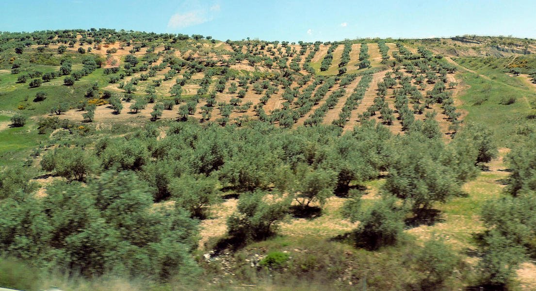 countryside116.jpg