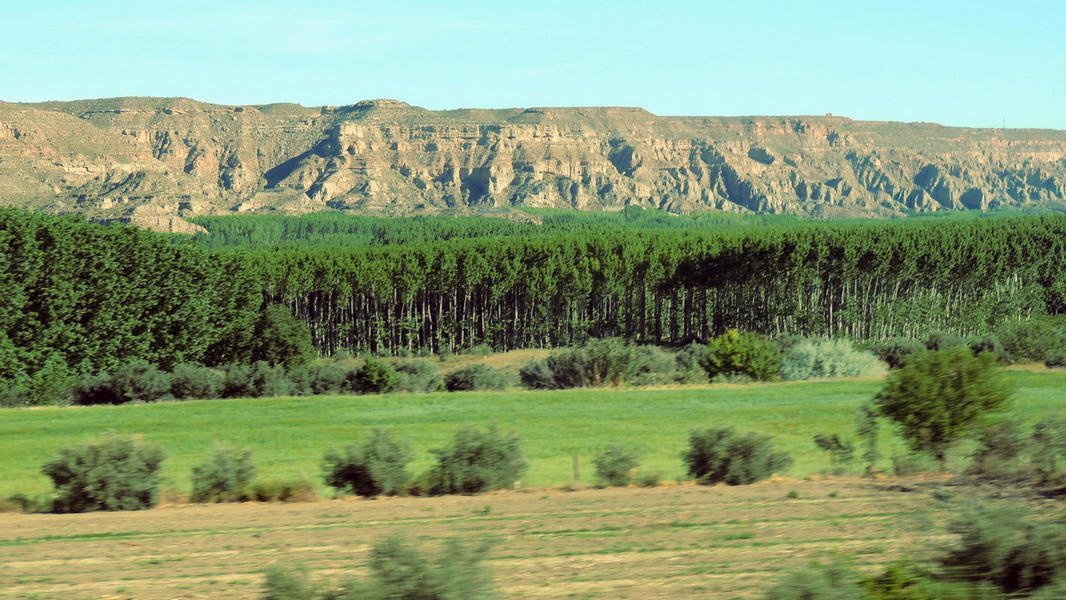 countryside19.jpg