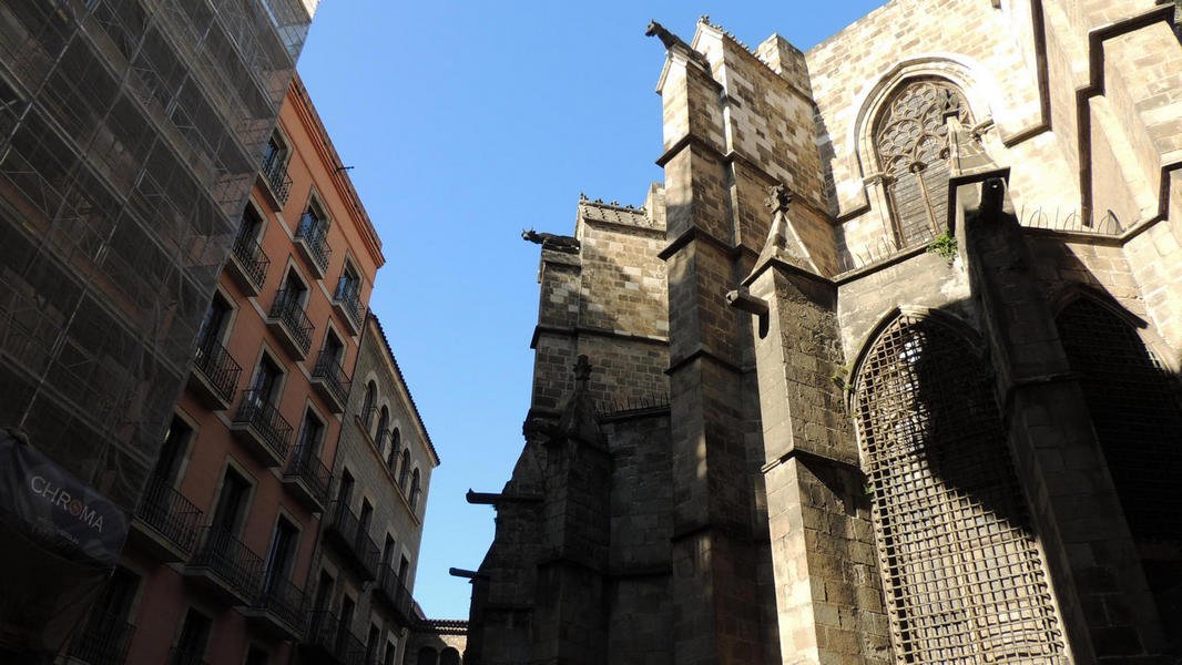 cathedraldebarcelona17.jpg