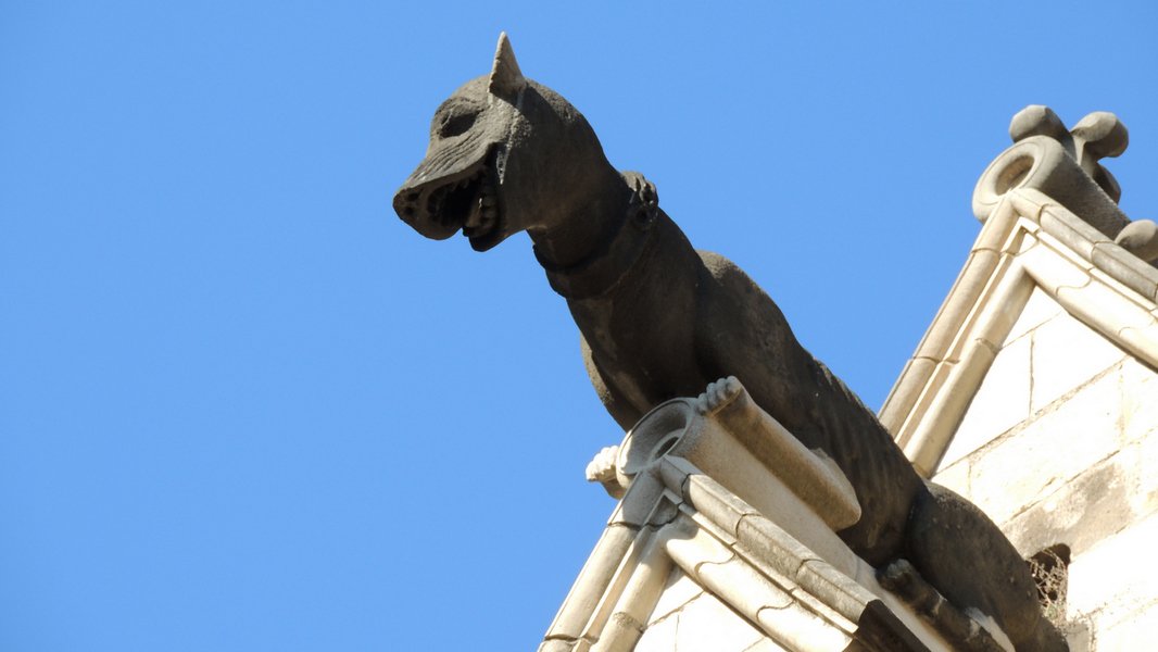 cathedraldebarcelona21.jpg