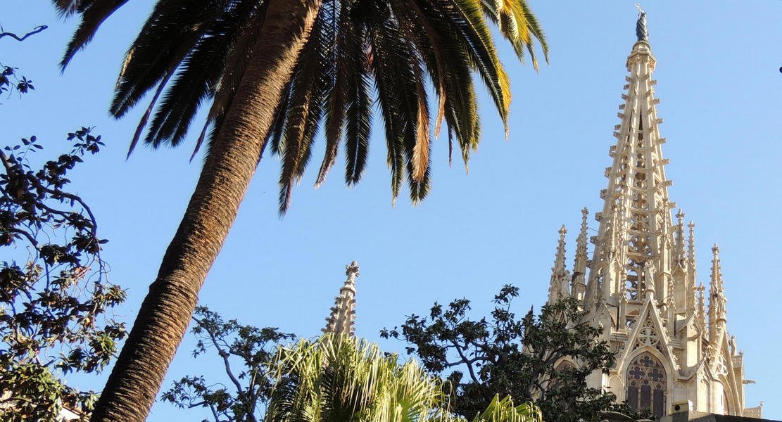 cathedraldebarcelona25.jpg