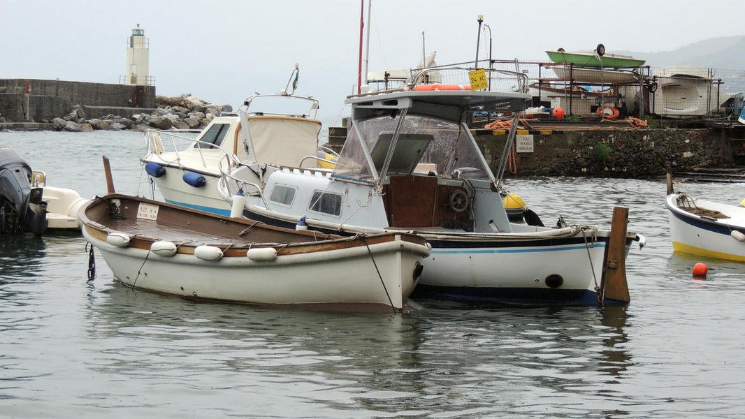 genoa13.jpg