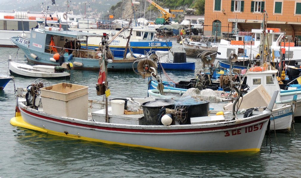 genoa22.jpg