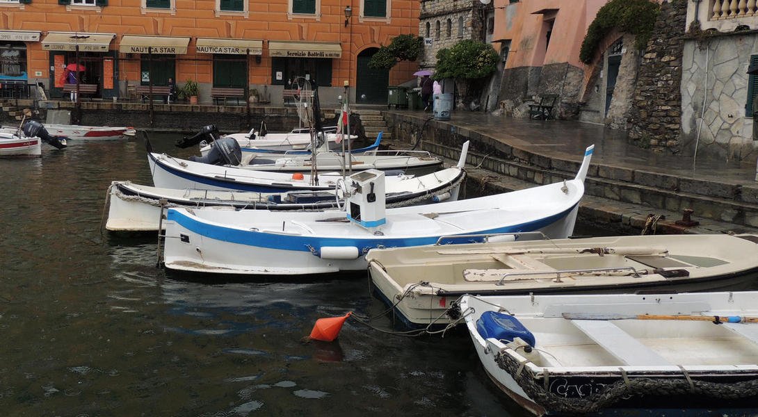 genoa8.jpg