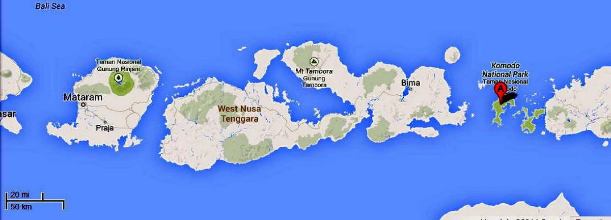 komodoisland1.jpg