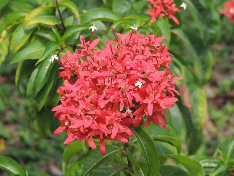 photo4.jpg