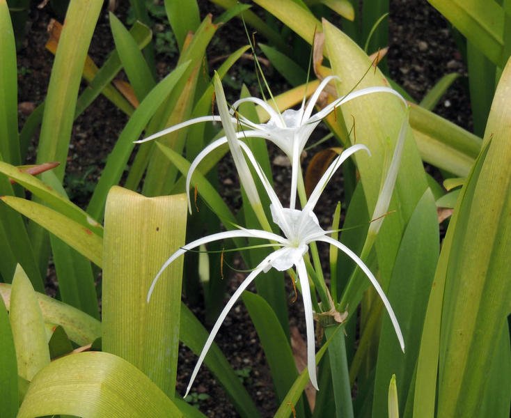 photo7.jpg
