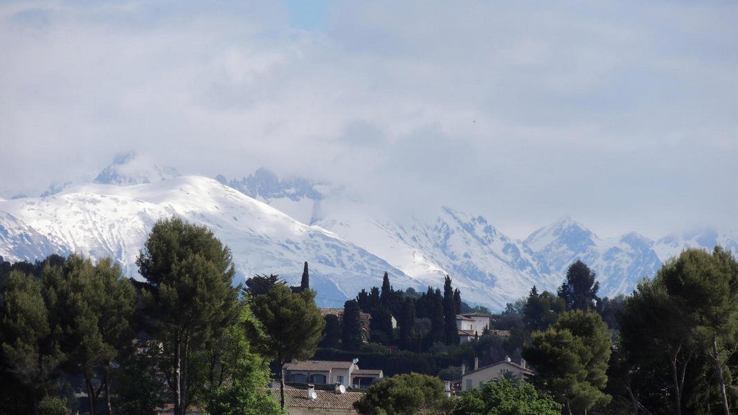 nicefrance13.jpg