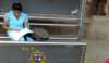 mumbai103busstop_small.jpg