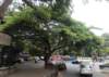 mumbai131typicalbombay_small.jpg