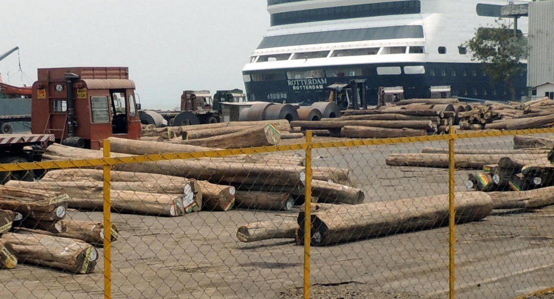 mumbai29logsreadytoship.jpg
