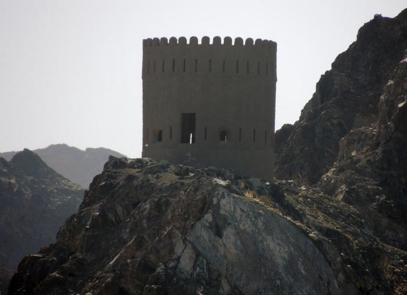 muscat35.jpg