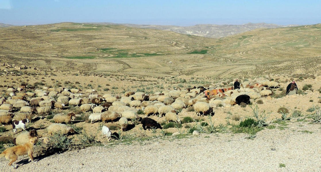 bedouins12.jpg