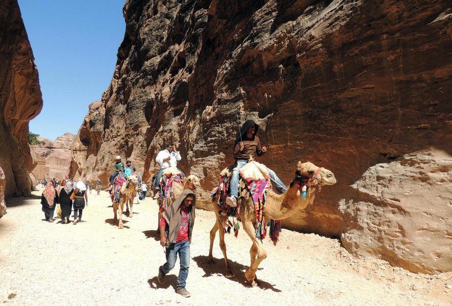 camels2.jpg
