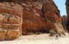 petra29_small.jpg