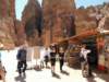petra33_small.jpg