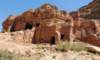 petra40_small.jpg