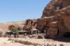 petra49_small.jpg