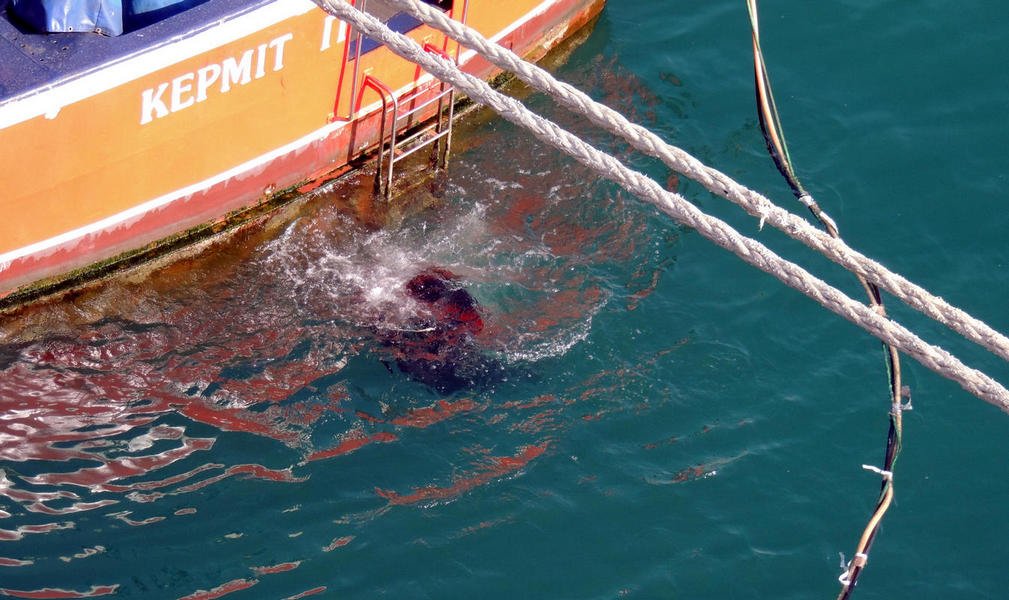 diveboat2.jpg