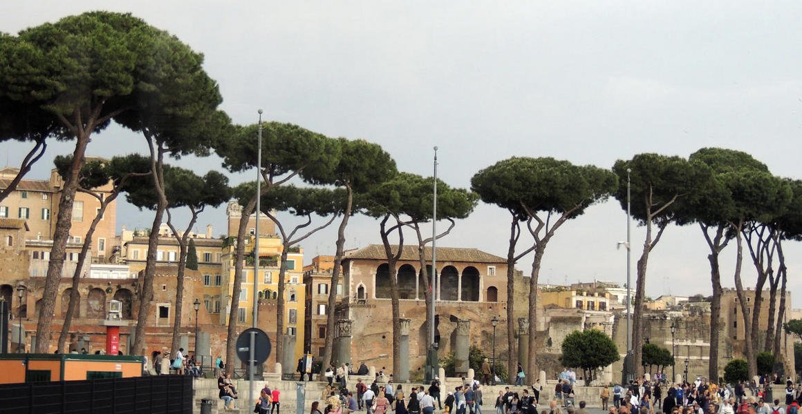 rome12.jpg