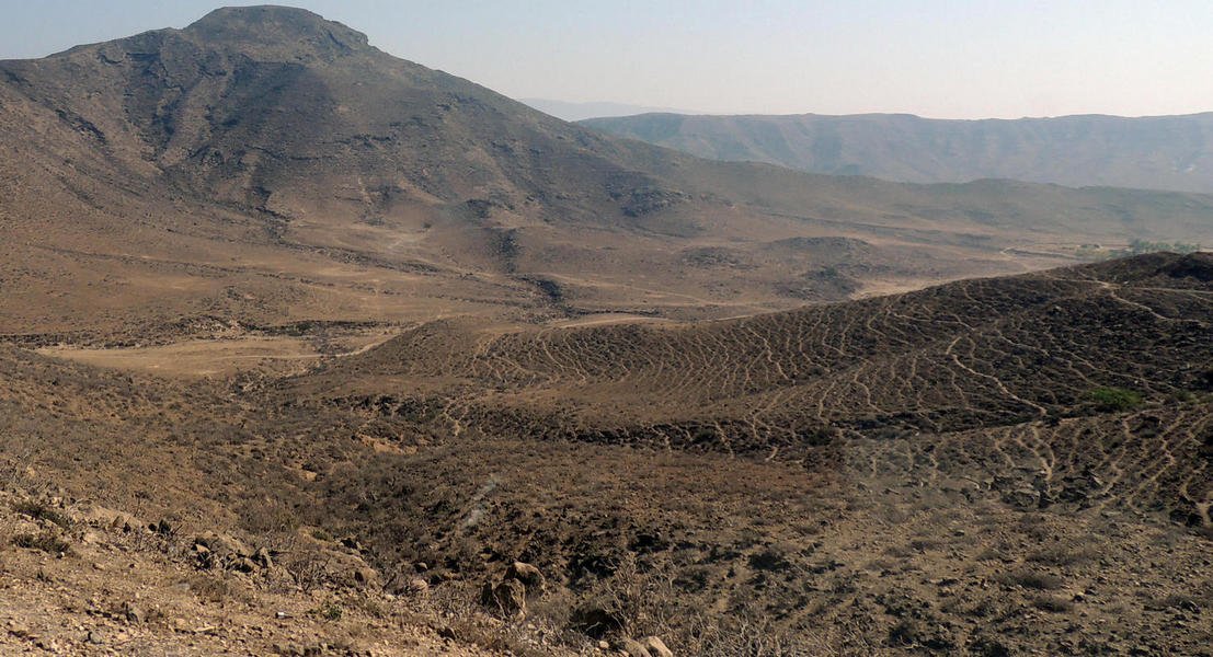 desert6.jpg