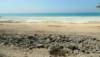 seashore11_small.jpg