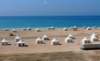 seashore6_small.jpg
