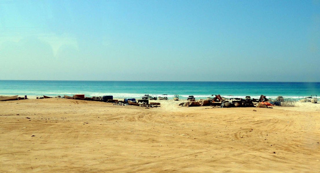seashore8.jpg