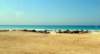 seashore8_small.jpg