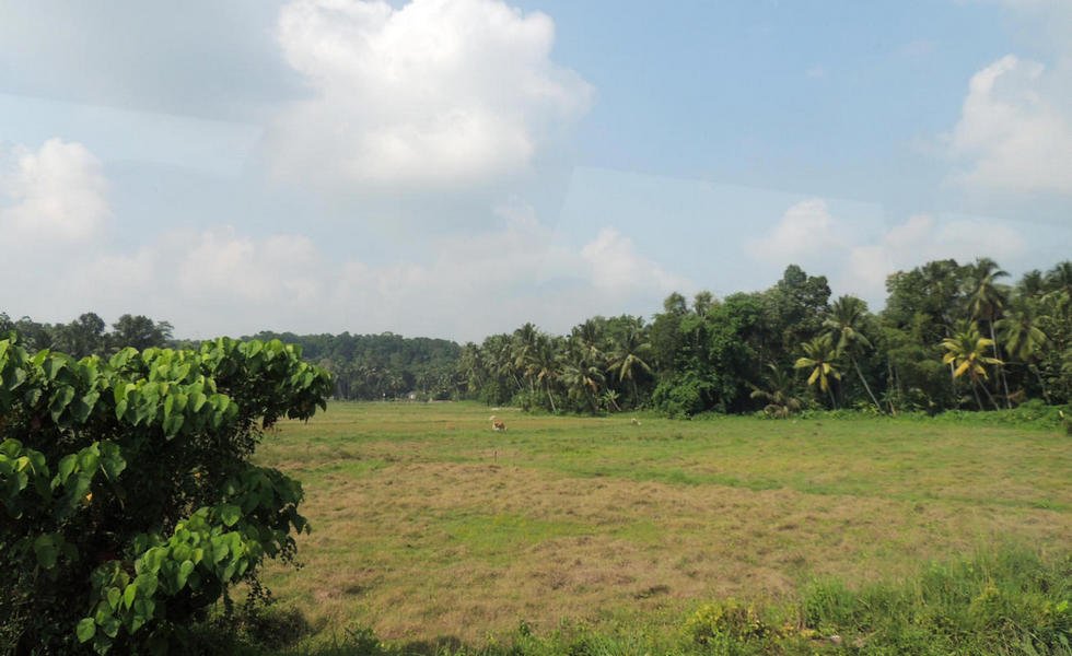 roadsandcountryside11.jpg