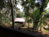 roadsandcountryside23_small.jpg