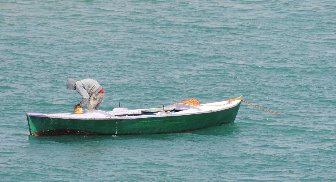 boats4.jpg