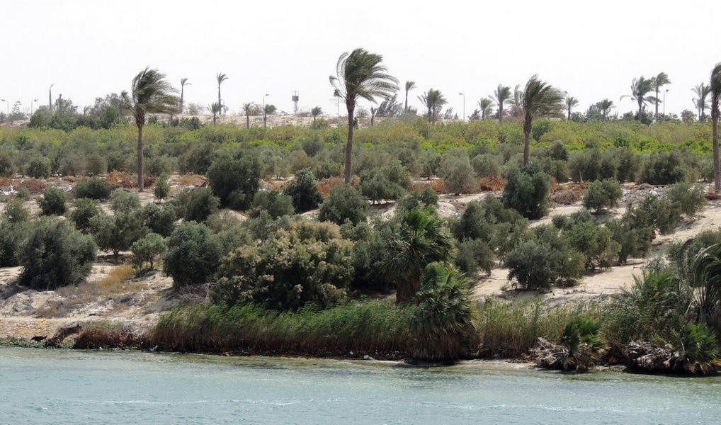 suezcanal10.jpg