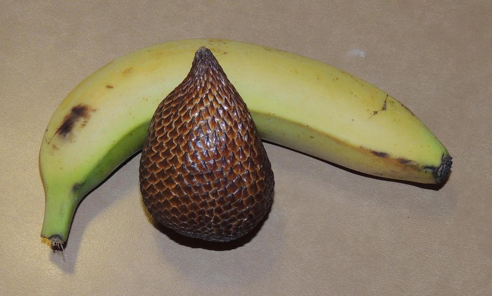 surabaya24snakefruit.jpg