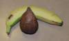 surabaya24snakefruit_small.jpg