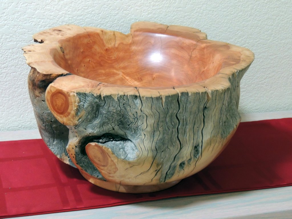 alligatorjuniperbowl10.jpg