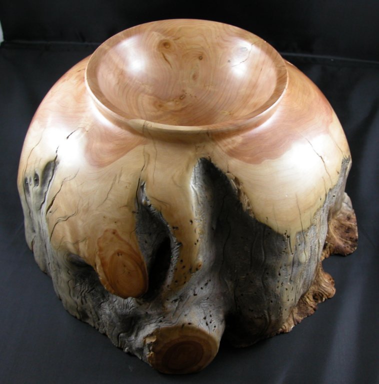 alligatorjuniperbowl2.jpg