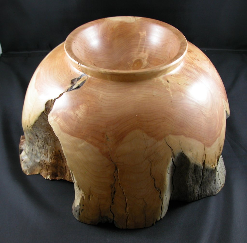 alligatorjuniperbowl4.jpg