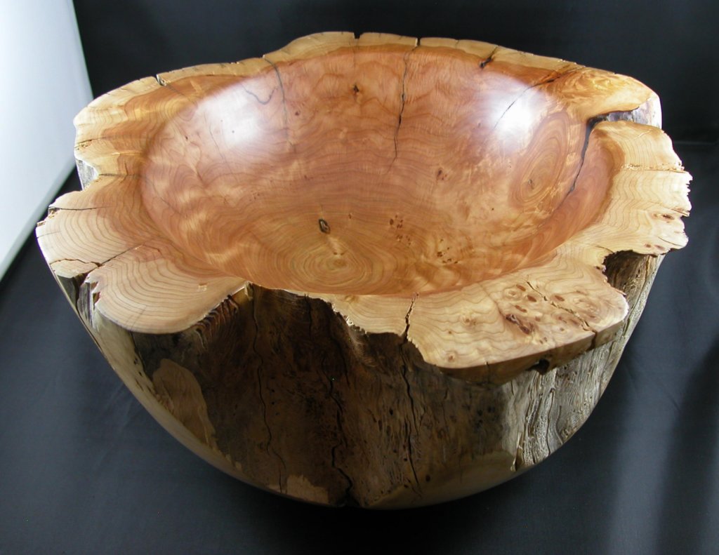 alligatorjuniperbowl7.jpg