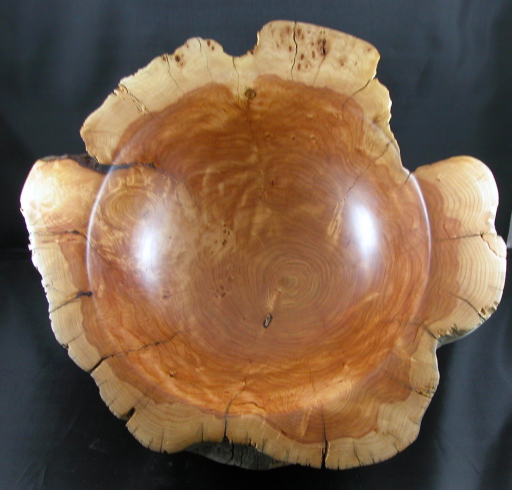 alligatorjuniperbowl9.jpg